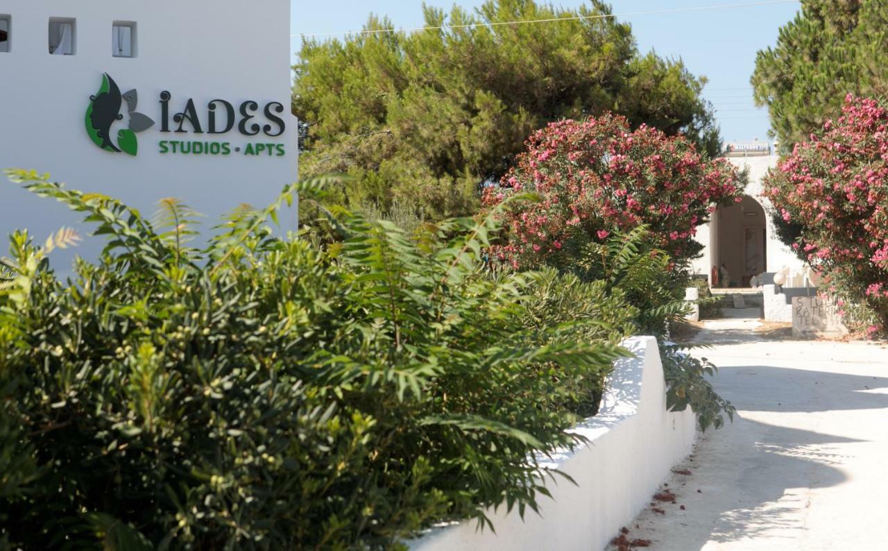 Iades Studios & Apartments Agia Anna  Exterior photo